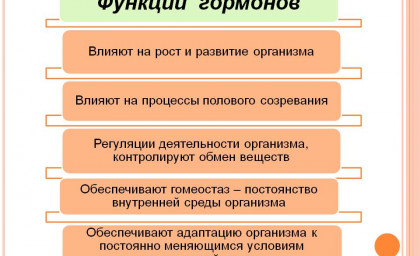 Как гормоны влияют на нашу внешность.?